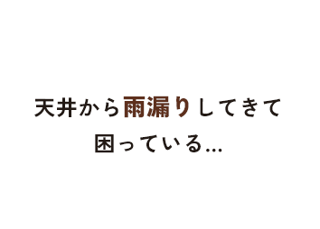 天井から雨漏りしてきて困っている